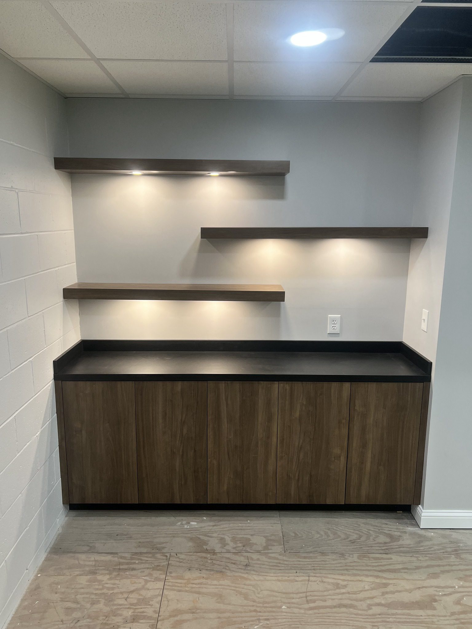 Gallery 5 Custom storage and display cabinetry by RInes Design